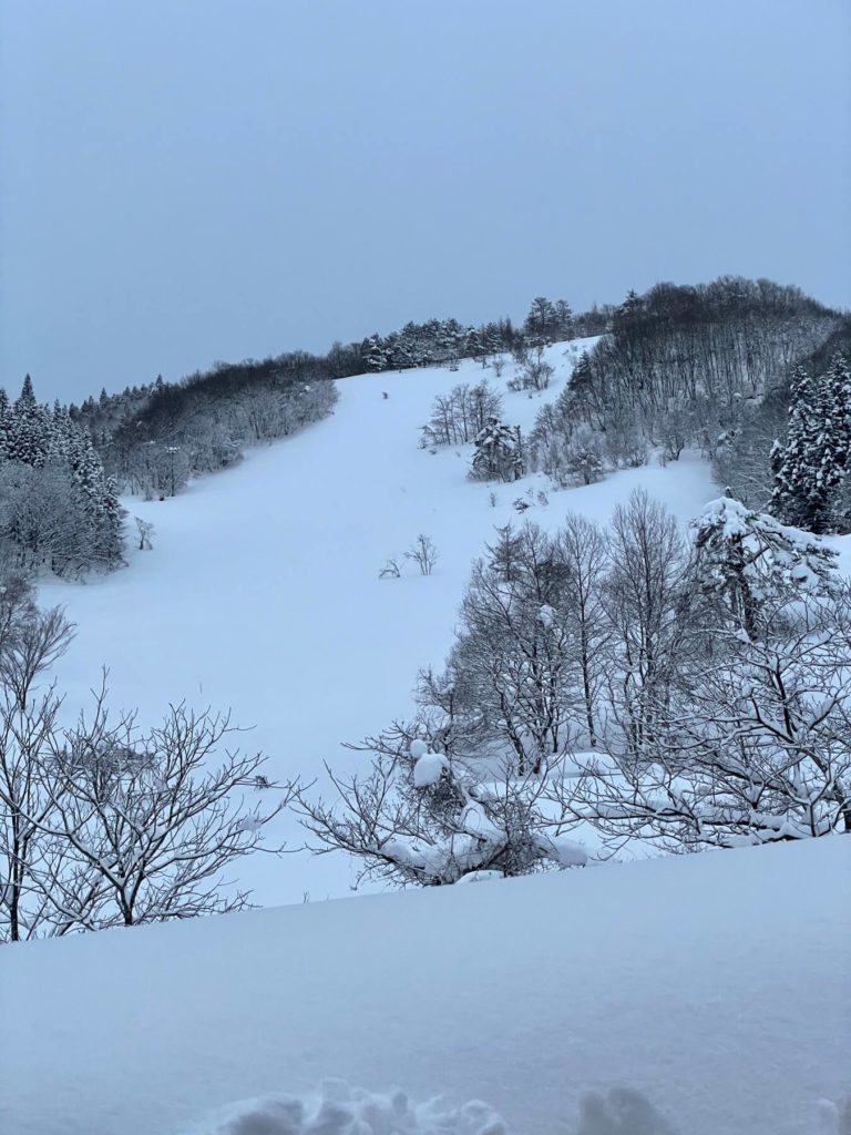 Snow CAT Japan