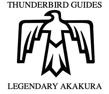 Thunderbird Guides